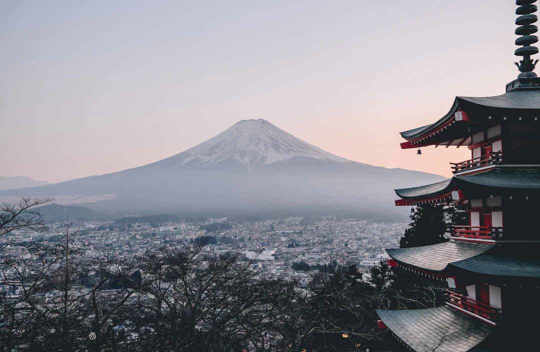 Unlocking the Mystique: Understanding Rarity and Grading in Japanese P