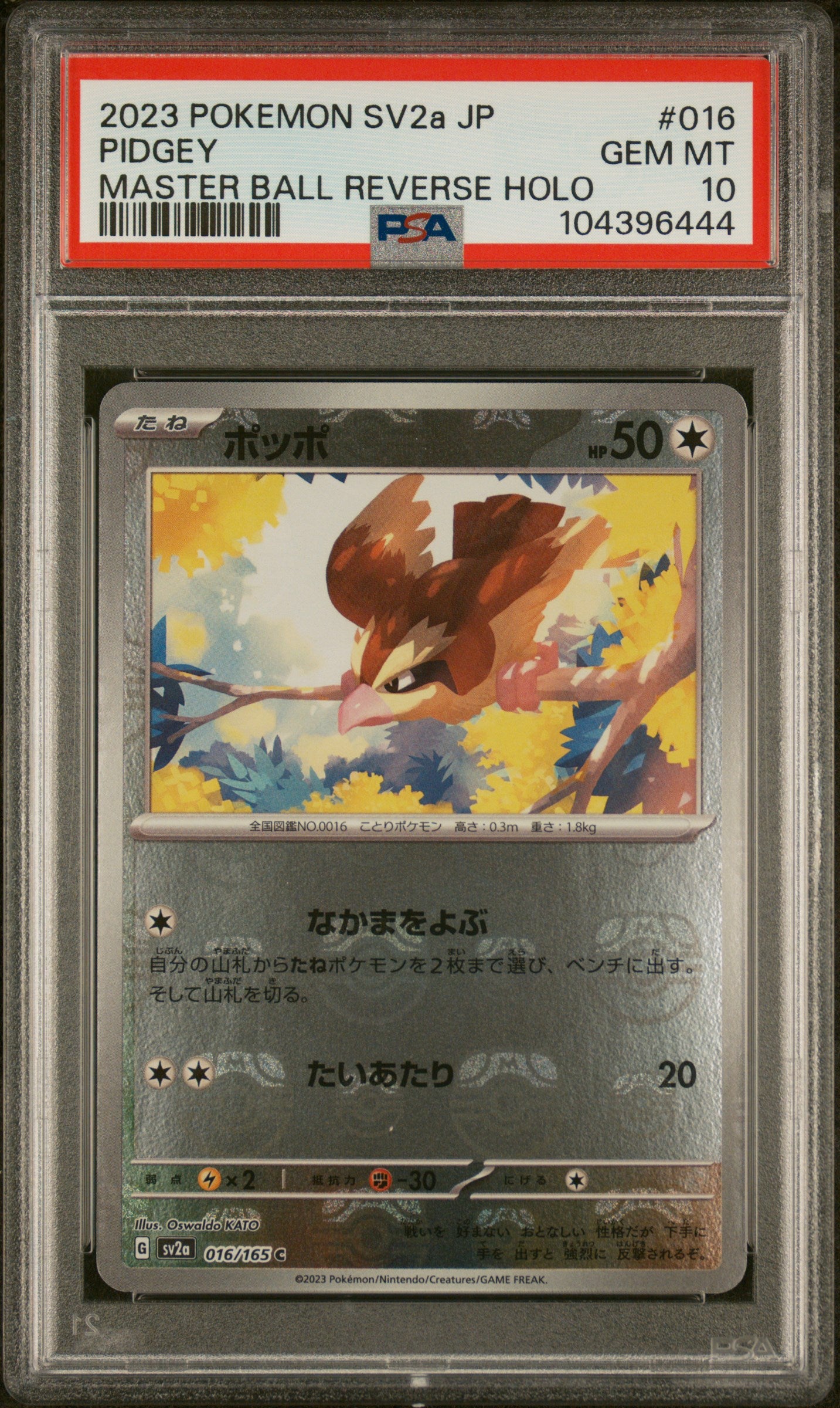 2023 Pokémon Japanese SV2a - 151 #016 Pidgey MasterBall Reverse Holo PSA 10
